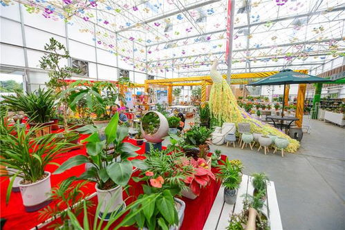 桂林世外陶园 花团锦簇醉游人，花卉苗木零售新体验